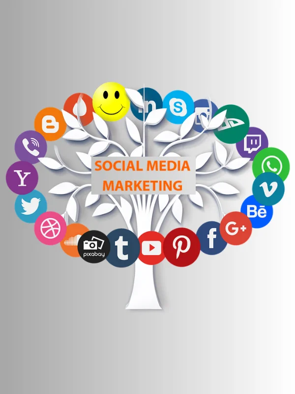 Social Media Marketing with Viwosoft